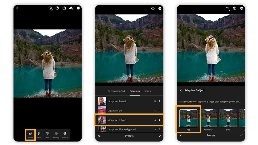 Lightroom Mobile editing interface