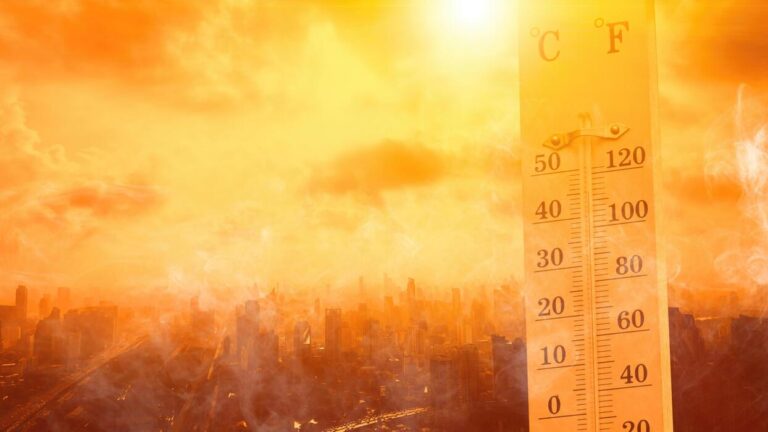 Extreme heat wave over a city — life-saving research under scrutiny