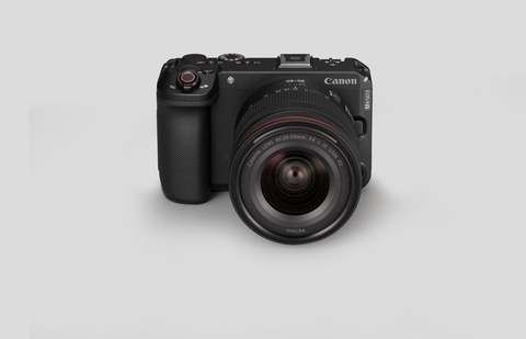 Canon EOS R6V