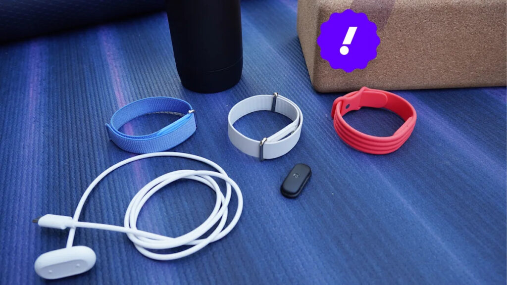 Fitbit Air