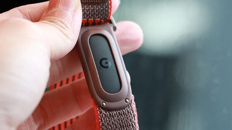 Fitbit Air