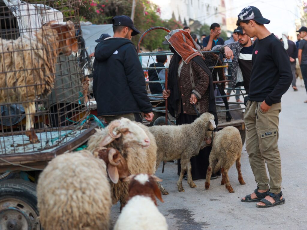 Gaza livestock sector