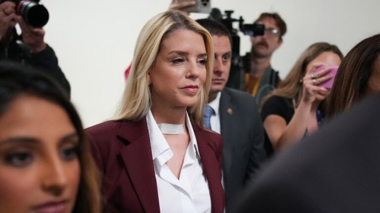 Epstein Files Transparency Act