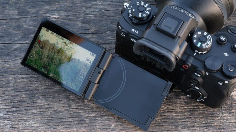 Sony Alpha battery life