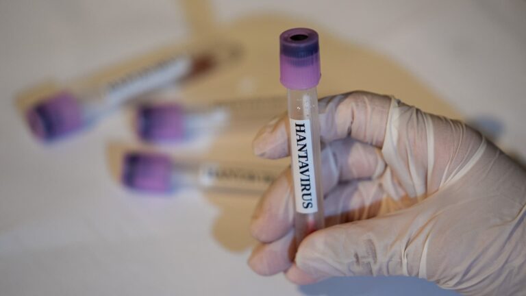US hantavirus cases