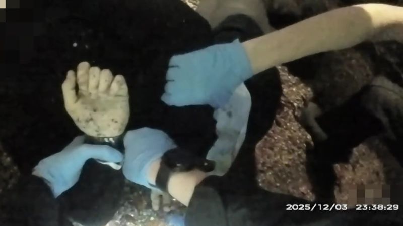 police bodycam footage