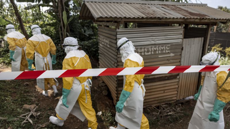 Bundibugyo Ebola strain