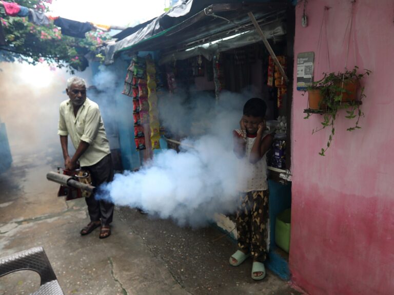 dengue transmission India