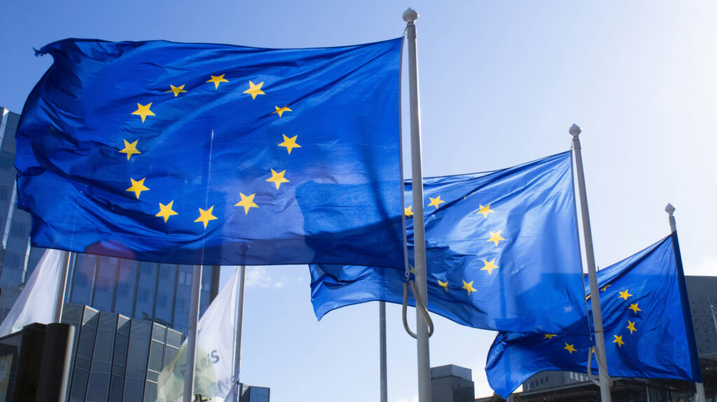 European Parliament Google search