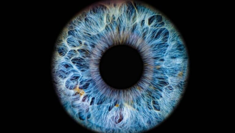 ICE biometric surveillance