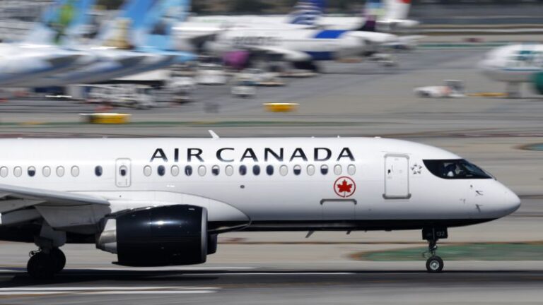 Air Canada pilot fake license