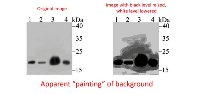 Thermo Fisher antibody data manipulation