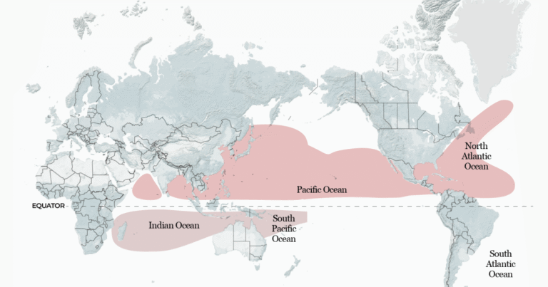 El Niño tropical storms