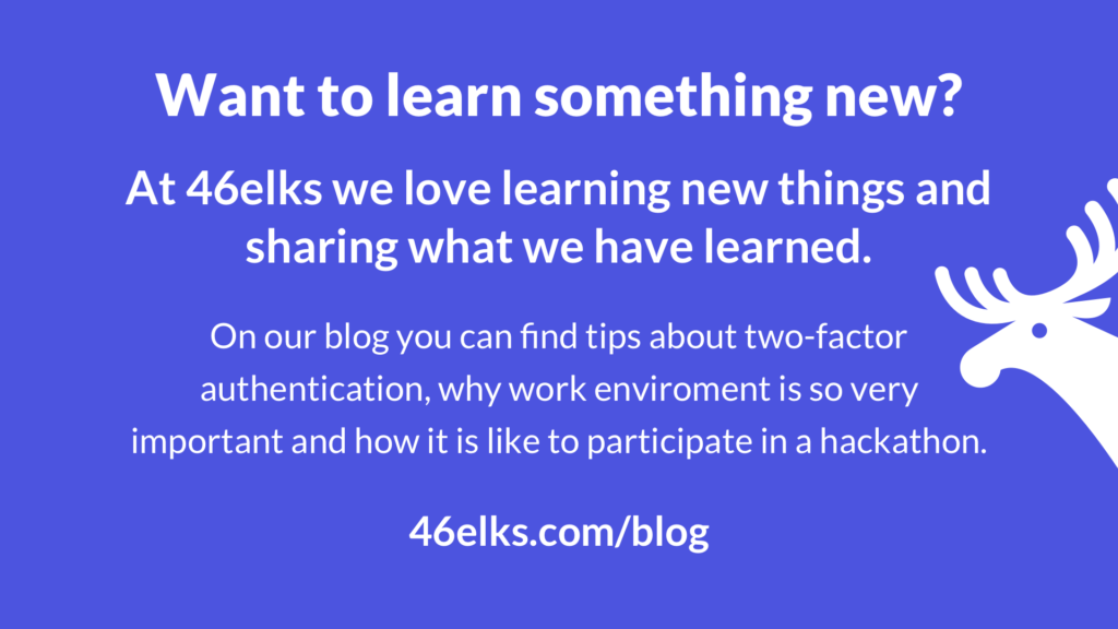 software engineering mentorship