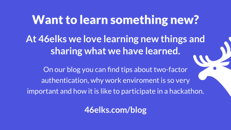 software engineering mentorship