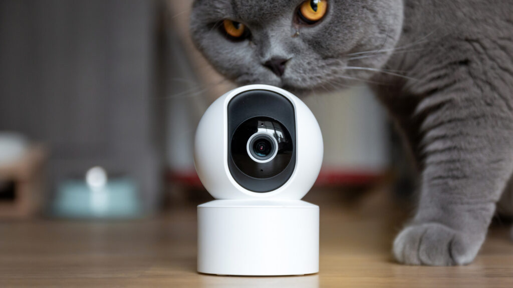 wired vs wireless security cameras