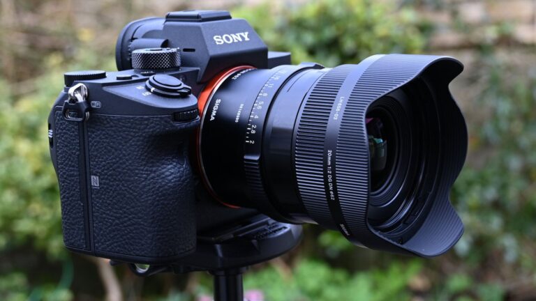 Sony wide-angle lenses