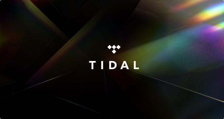 TIDAL AI music policy
