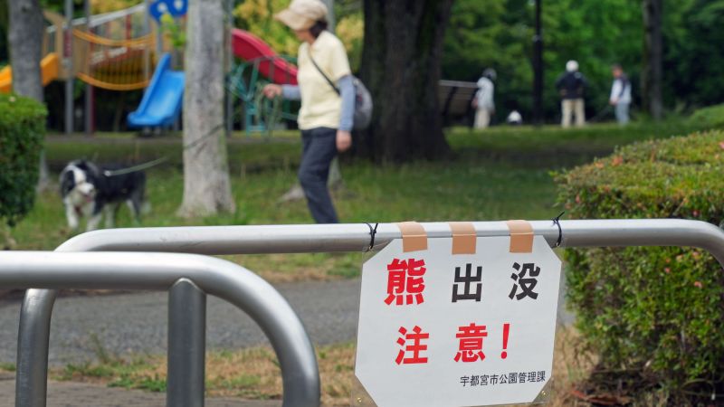 bear sightings Japan