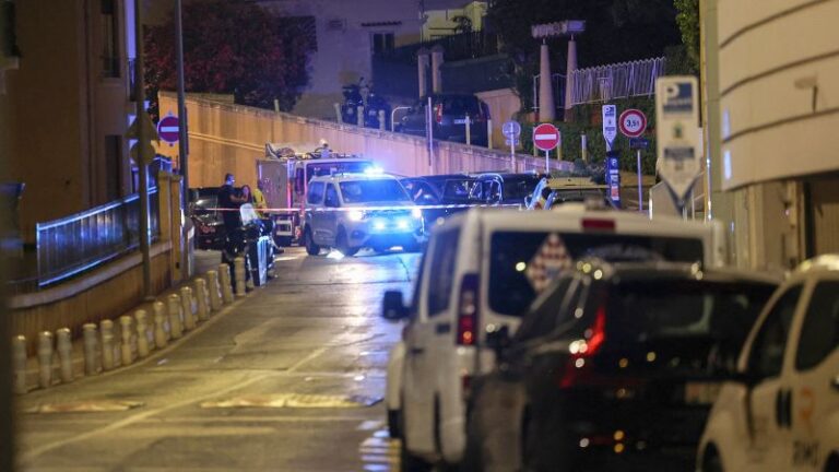 Monaco security surveillance